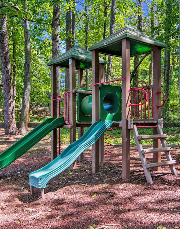 a playground with two slides and a ladder in a wooded area at Dunwoody Pointe in Sandy Springs, GA