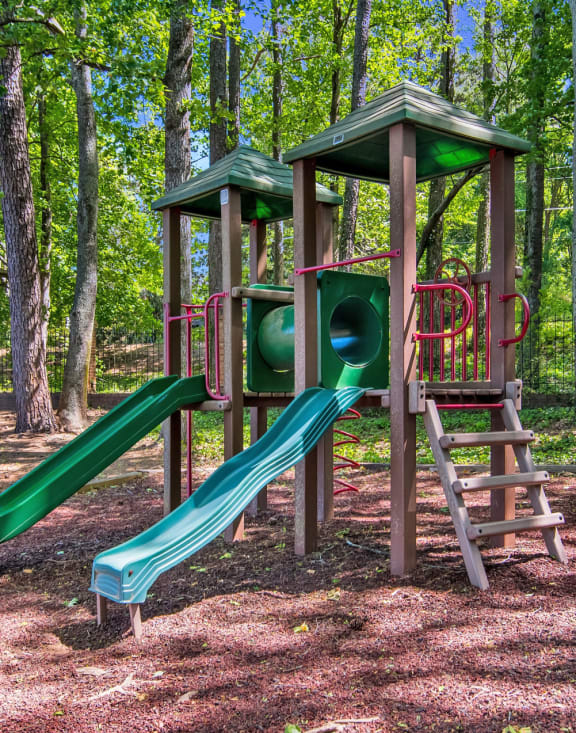 a playground with two slides and a ladder in a wooded area at Dunwoody Pointe in Sandy Springs, GA