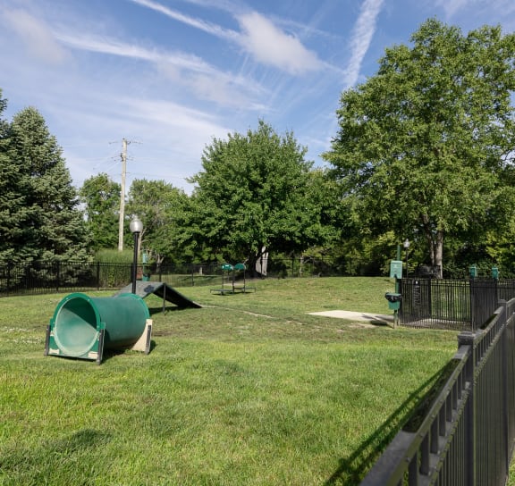 pet area at Latitudes Apartments, Indianapolis, 46237