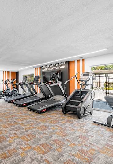 A gym with treadmills, weights, and exercise equipment.
