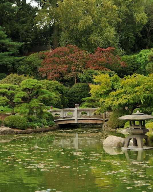 A serene pond with a small island and a bridge in the middle of it.