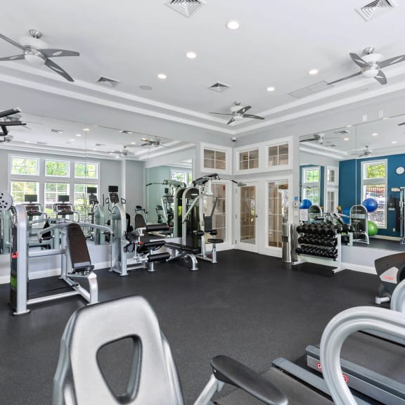 the gym is equipped with state of the art equipment