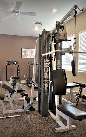 A gym with a mirror, treadmill, and exercise bike.