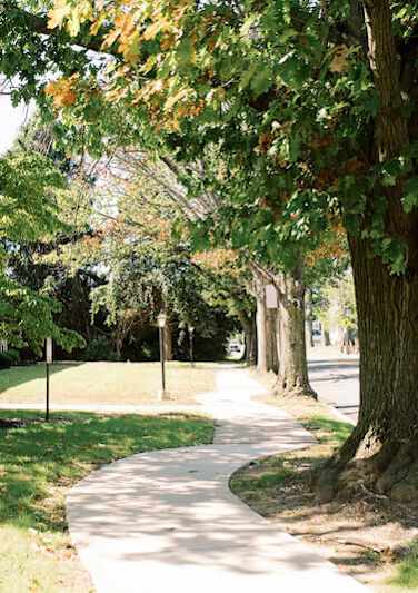 a sidewalk with trees on the side of a street at Krewstown Park Apartments, Philadelphia, PA