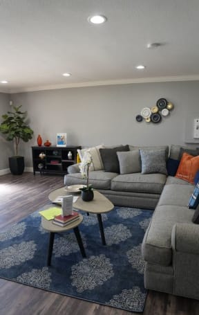 a living room with grey couches and a blue rug