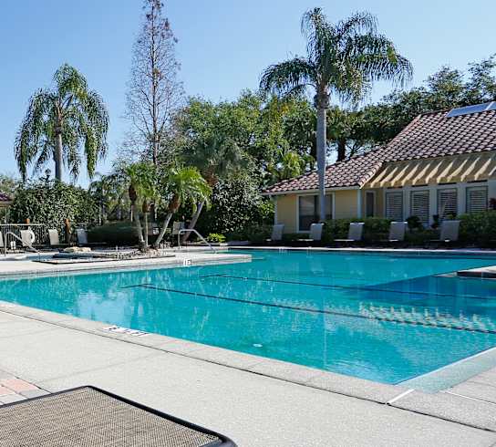 A pool surrounded by palm trees and lounge chairs.