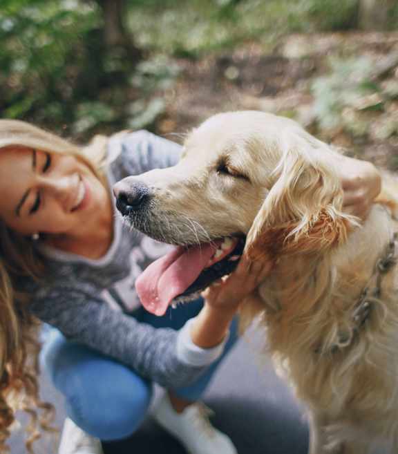 Pet friendly at The Beck at Hidden River, Tampa