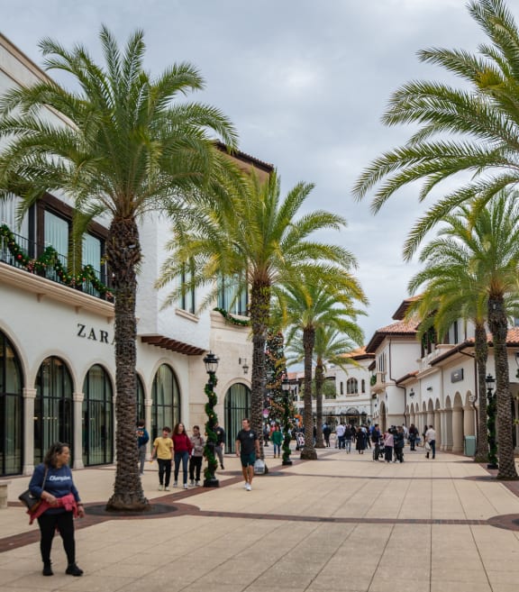 people walking down a street with palm trees
