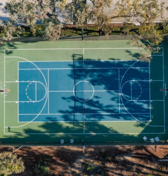 a soccer field in a backyard on a green court
