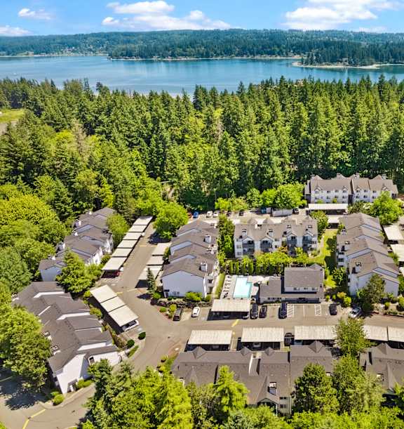 A bird's eye view of a residential area with houses surrounded by trees.