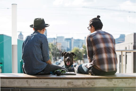 Men Sitting on Ledge with Adorable Dog
