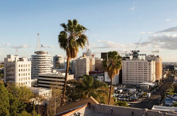 A cityscape with palm trees and buildings under a clear sky.