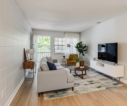 A living room with a grey couch, a wooden chair, a television, and a rug.