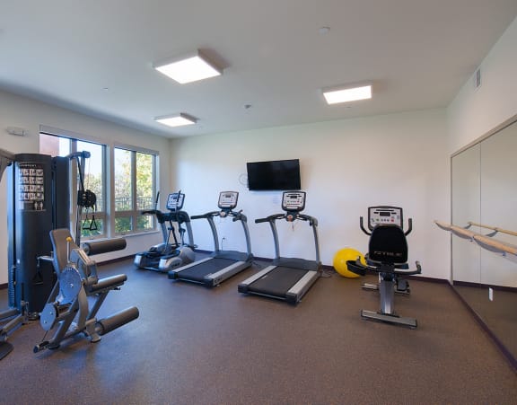 a row of treadmills in a gym with a large amount of windows and other gym equipment