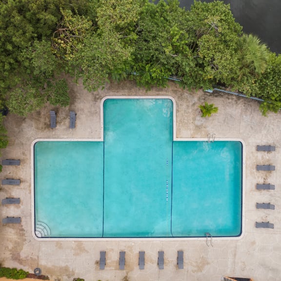 Blue Cool Swimming Pool