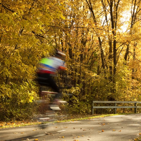 Person riding bike through trees with yellow leaves at The Lakes Apartments, Washington