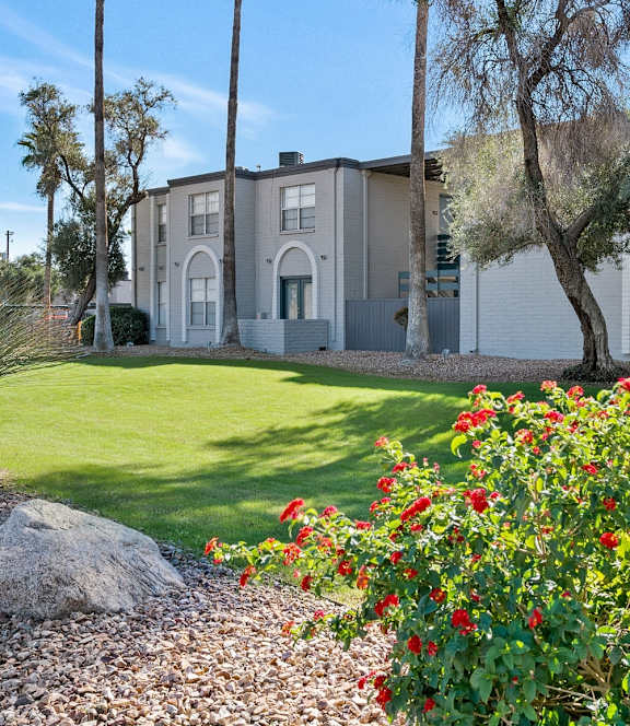 A large grassy area in front of apartment buildings with palm trees.