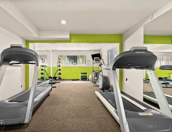 A gym with treadmills and weights.