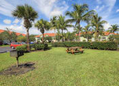 Thumbnail 3 of 21 - Grill & Picnic Area at Monterra at Bonita Springs, Bonita Springs, FL