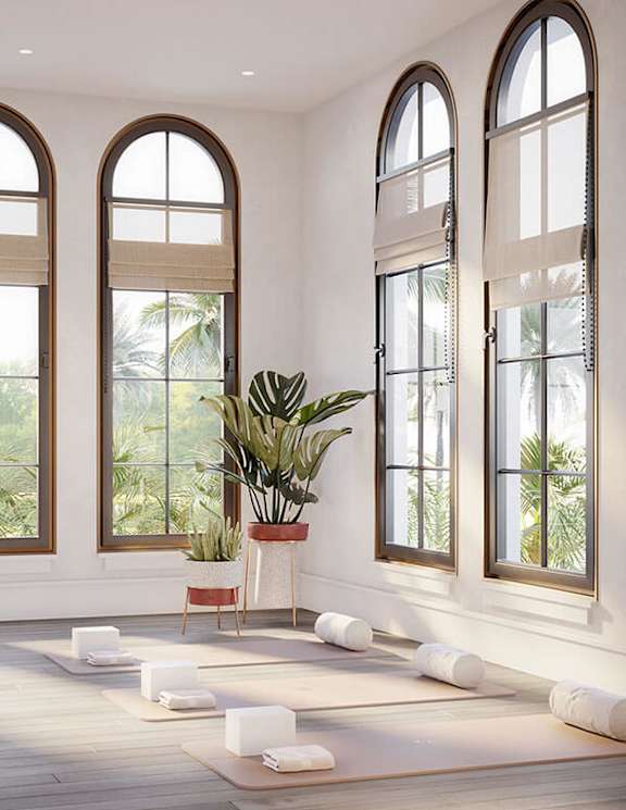 A room with large windows and a plant in the corner.