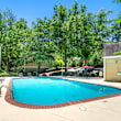 A small pool surrounded by trees and a fence.
