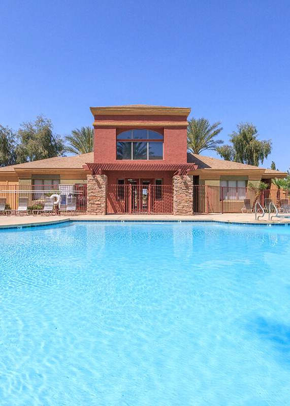 A large swimming pool surrounded by palm trees and lounge chairs.