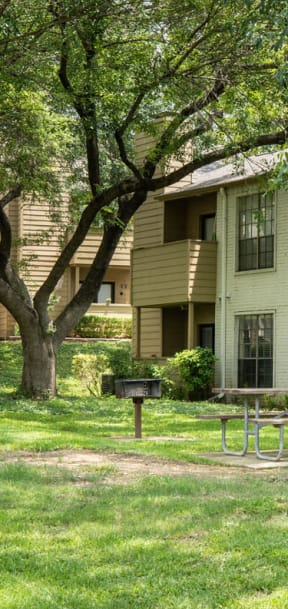 our apartments have a large yard with a picnic table and trees at Summit Ridge Apartments, Temple, 76502