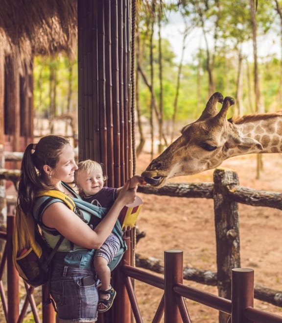 Mother holding child while feeding giraffe at zoo