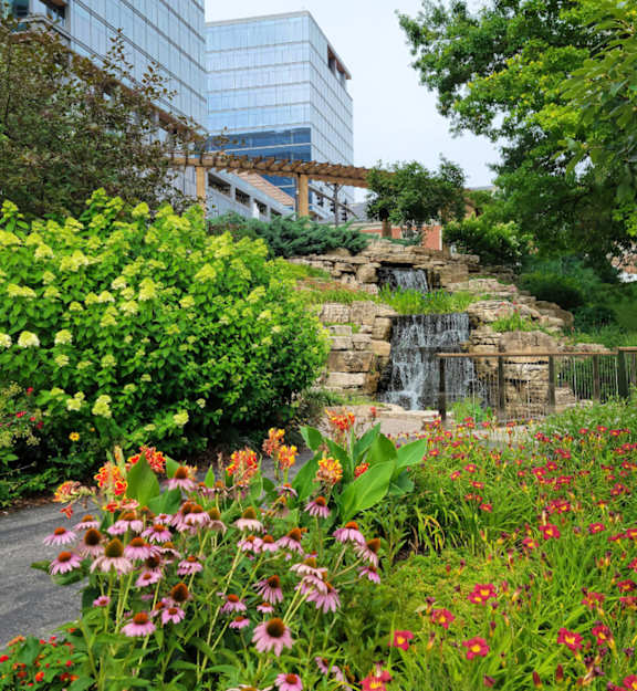 A garden with a waterfall and a variety of flowers at Clayton on the Park Apartments, Clayton, Missouri