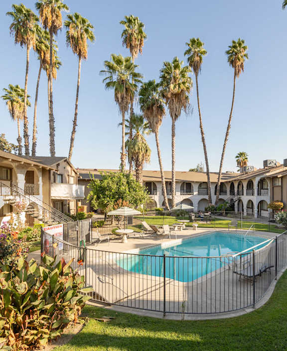A pool surrounded by palm trees and a fence.