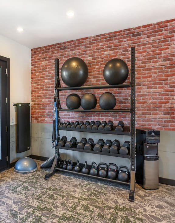 Free Weight in Gym at San Moritz