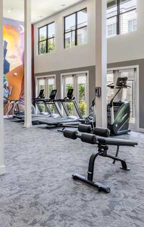 A gym with a variety of equipment including weights and a bench.