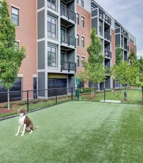 Spacious Balconies at Windsor at Maxwells Green, 02144, MA