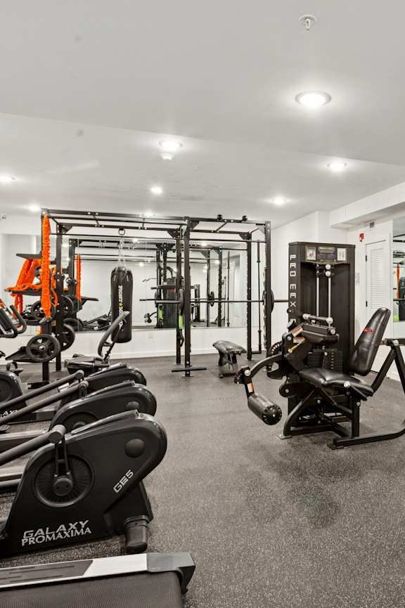 A gym with a variety of equipment including a weight bench, a squat rack, and a stationary bike.