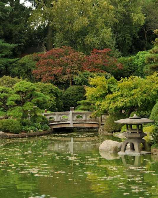 A serene pond with a small island and a bridge in the middle of it.
