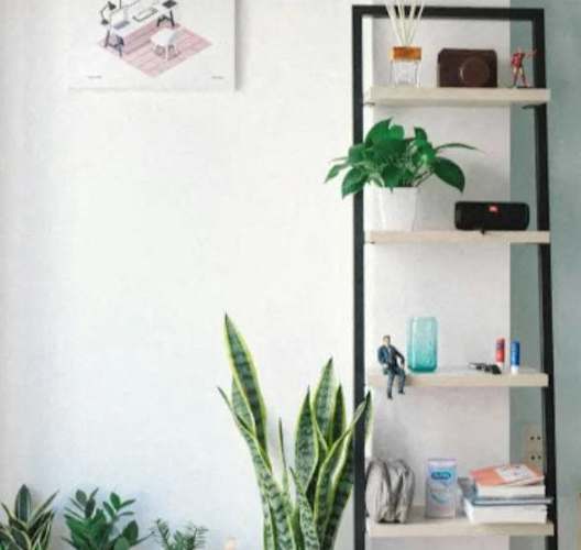 a white room with plants and a shelf