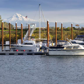 Marina with View of Mount Hood