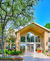 A building with a yellowish facade and a glass door is surrounded by greenery and flowers.