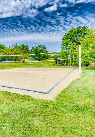 A volleyball court surrounded by green grass and trees.