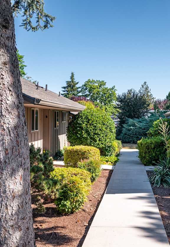 A tree-lined walkway leads to a series of houses.