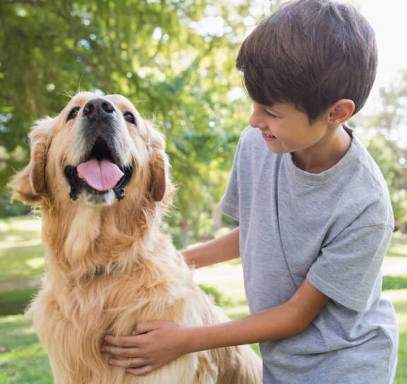 a boy petting a dog in the park at The Quarry, Fort Collins, CO 80526