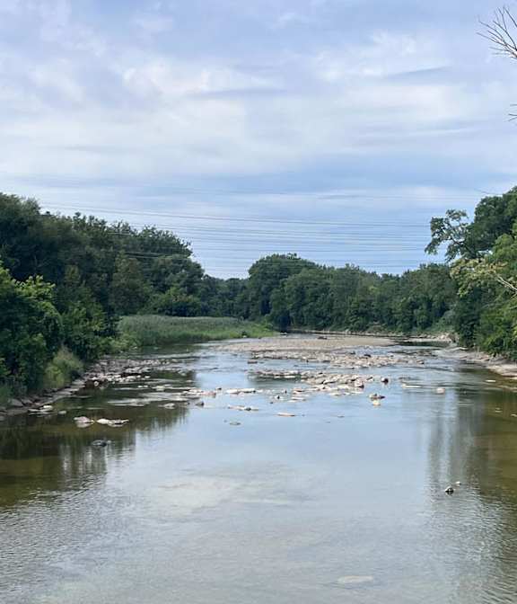A river flows through a wooded area with rocks in the water. at Hallwood Manor Apartments, Mentor, OH