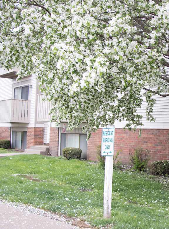 A tree with white blossoms in front of a brick building with a sign that says  at Kimberly Club Apartments, Davenport  52807