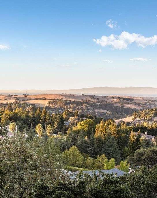 A landscape with a mix of trees and open land.