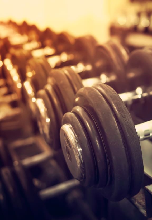 Close Up View of Dumbbells