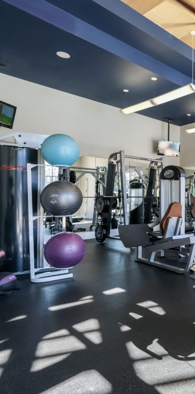 Inside view of fitness center at Soho Parkway