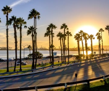 Beach Palms at Marine View Apartments, California
