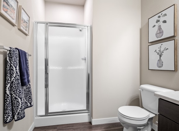 a bathroom with a shower and toilet in a 555 waverly unit  at Aventura at Wentzville, Wentzville, MO