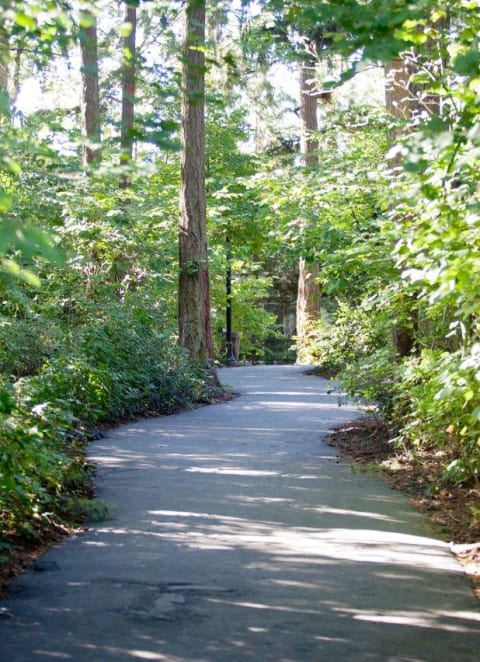 Walking Path at LionsGate South, Hillsboro, OR, 97124