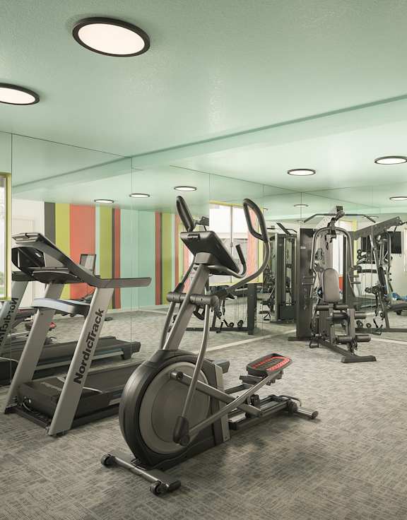 A gym with a variety of exercise equipment including treadmills, stationary bikes, and weight machines.